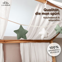 eukalyptus & weiß / sterne / ohne goldapplikation