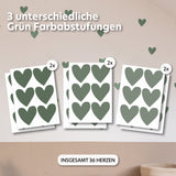 eukalyptus / einheitsgröße 36 stück