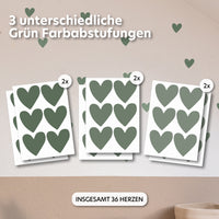 eukalyptus / einheitsgröße 36 stück