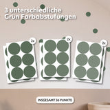 eukalyptus / einheitsgröße 36 stück