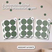 eukalyptus / einheitsgröße 36 stück