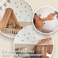 eukalyptus / einheitsgröße 36 stück