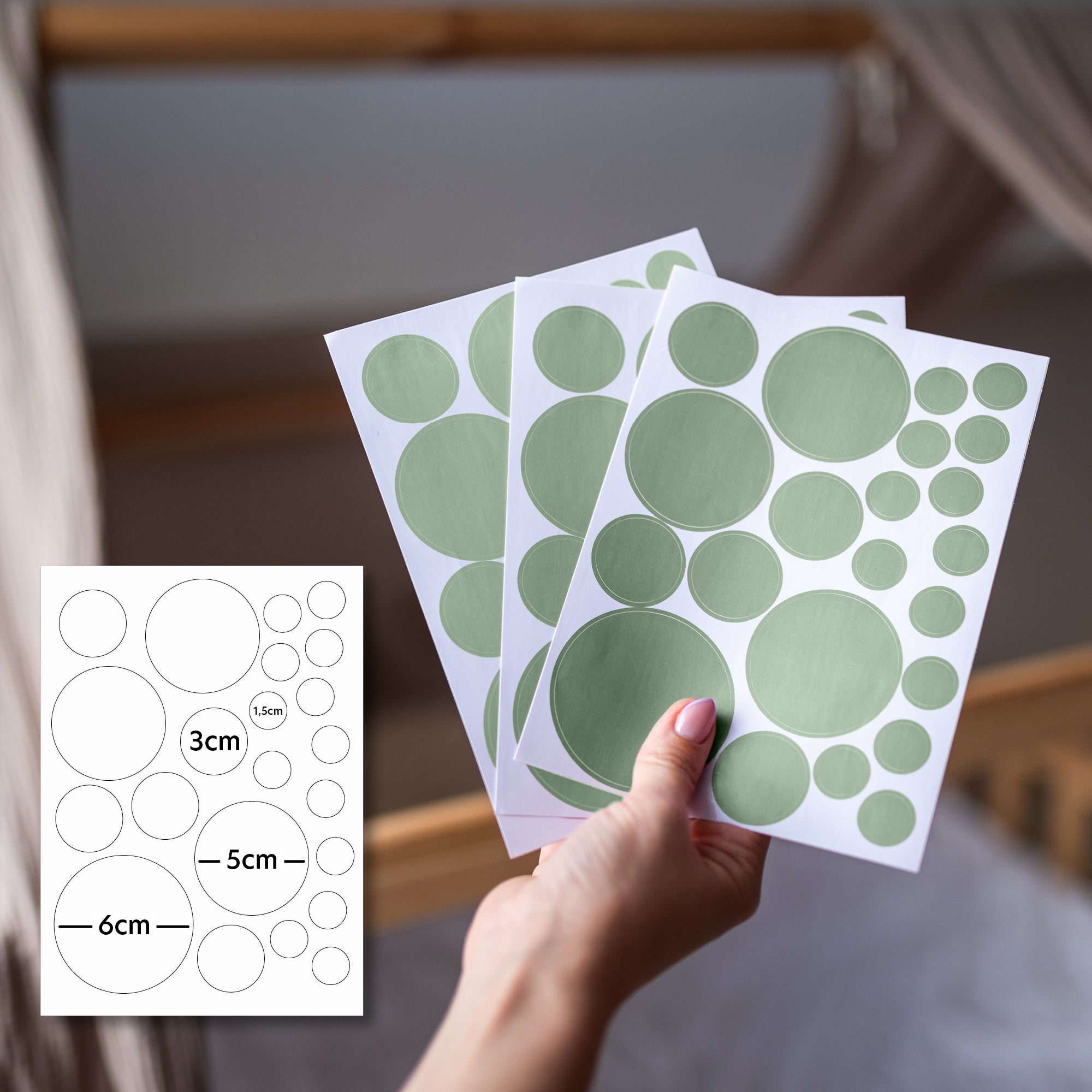 eukalyptus / gemischte größen 132 stück