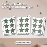 eukalyptus / einheitsgröße 36 stück