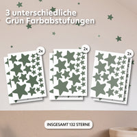 eukalyptus / gemischte größen 132 stück